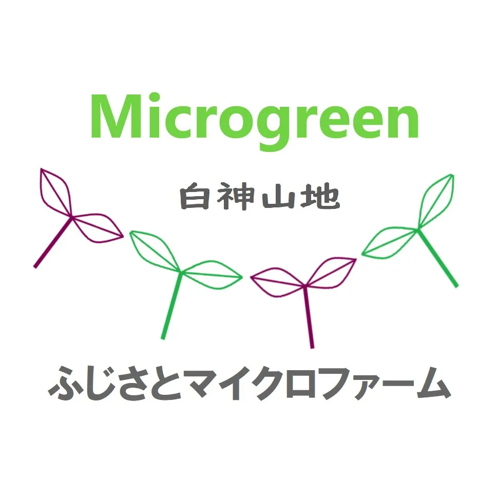 さのまるの歩み