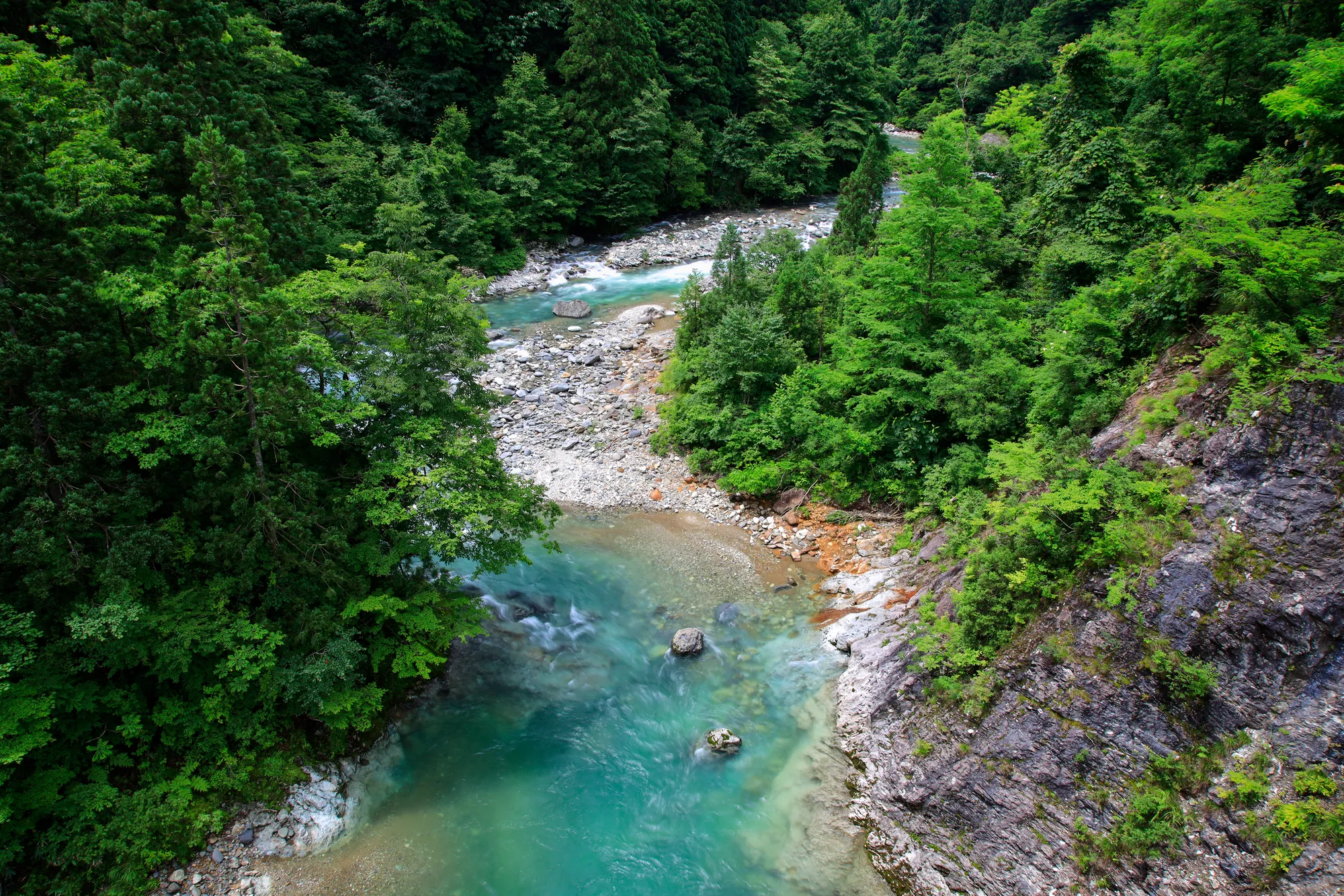 白神山地の水